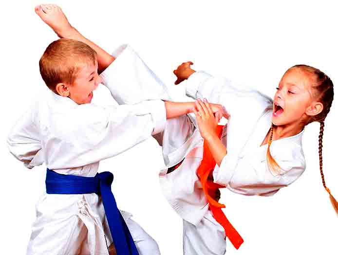 Baby Karaté à partir de 4/5 ans Karate Club Gentilly